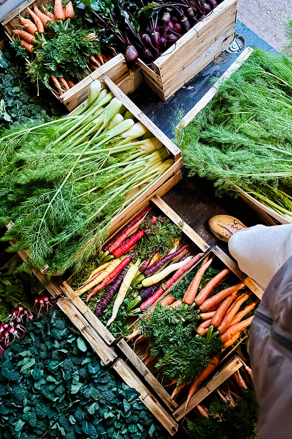 Livraison de fruits et légumes frais directement au restaurant ou à la maison