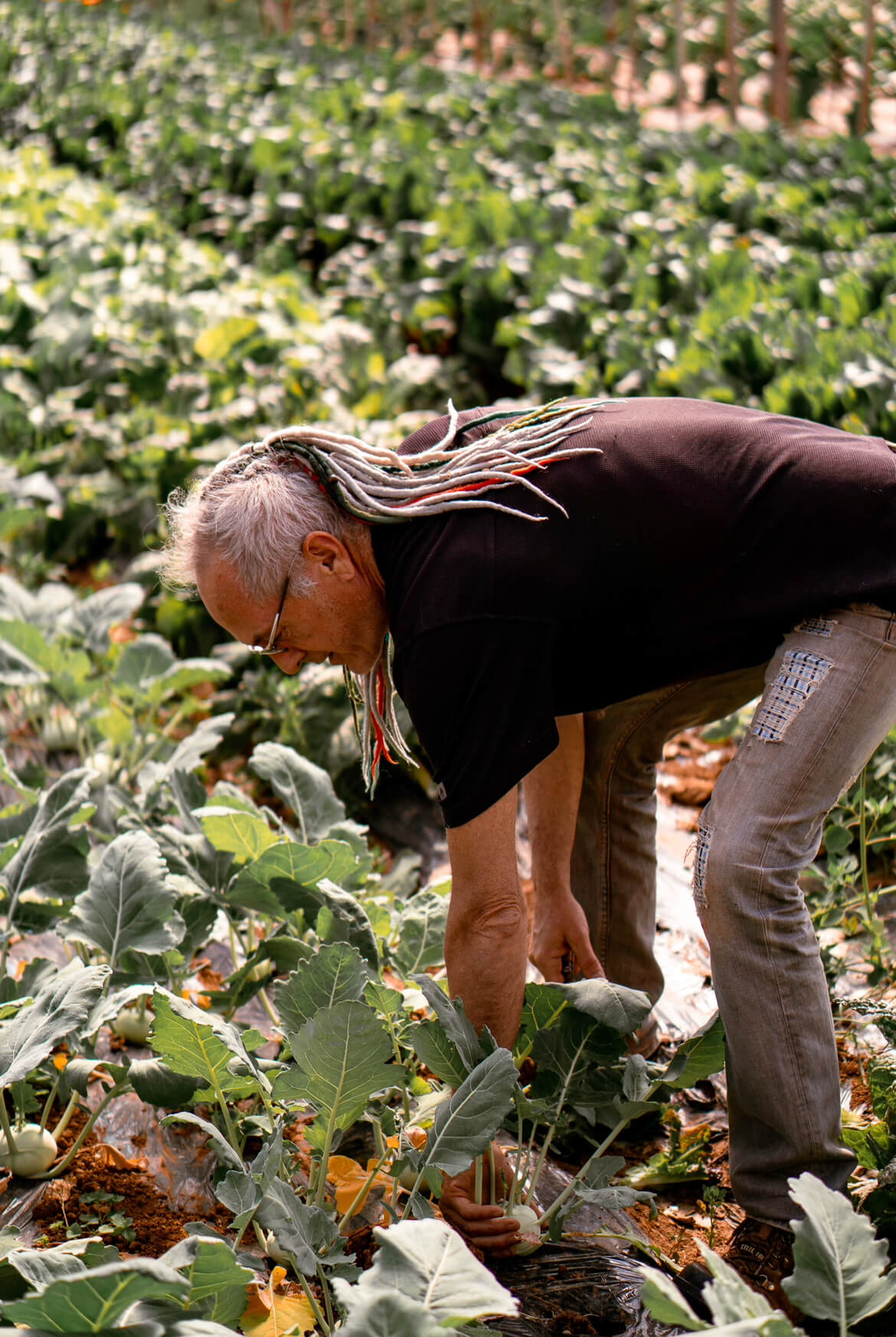 Bruno Cayron maraîcher producteur bio diversité fruits et légumes jardin mini légumes le Cayre de Valjancelle