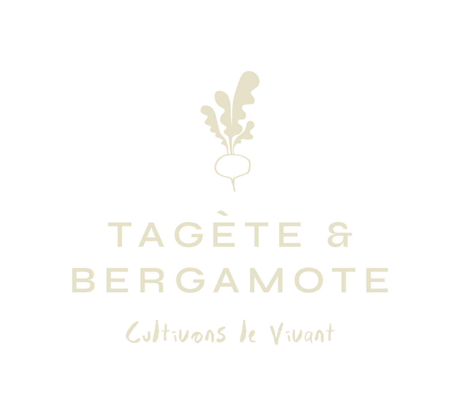 Tagete & Bergamote logo beige