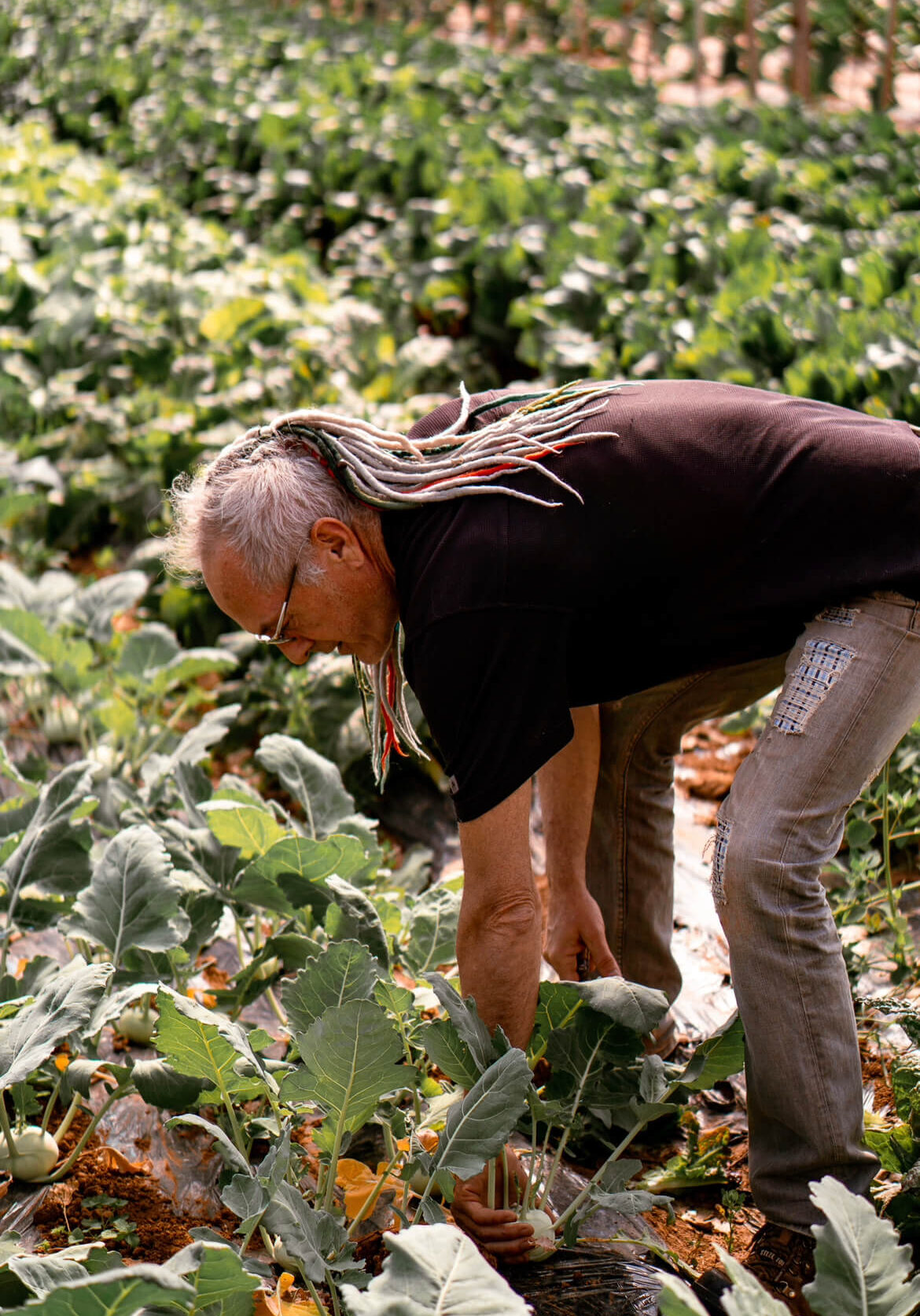 IMG_1801 2-2 Bruno Cayron maraîcher producteur bio diversité fruits et légumes jardin mini légumes le Cayre de Valjancelle